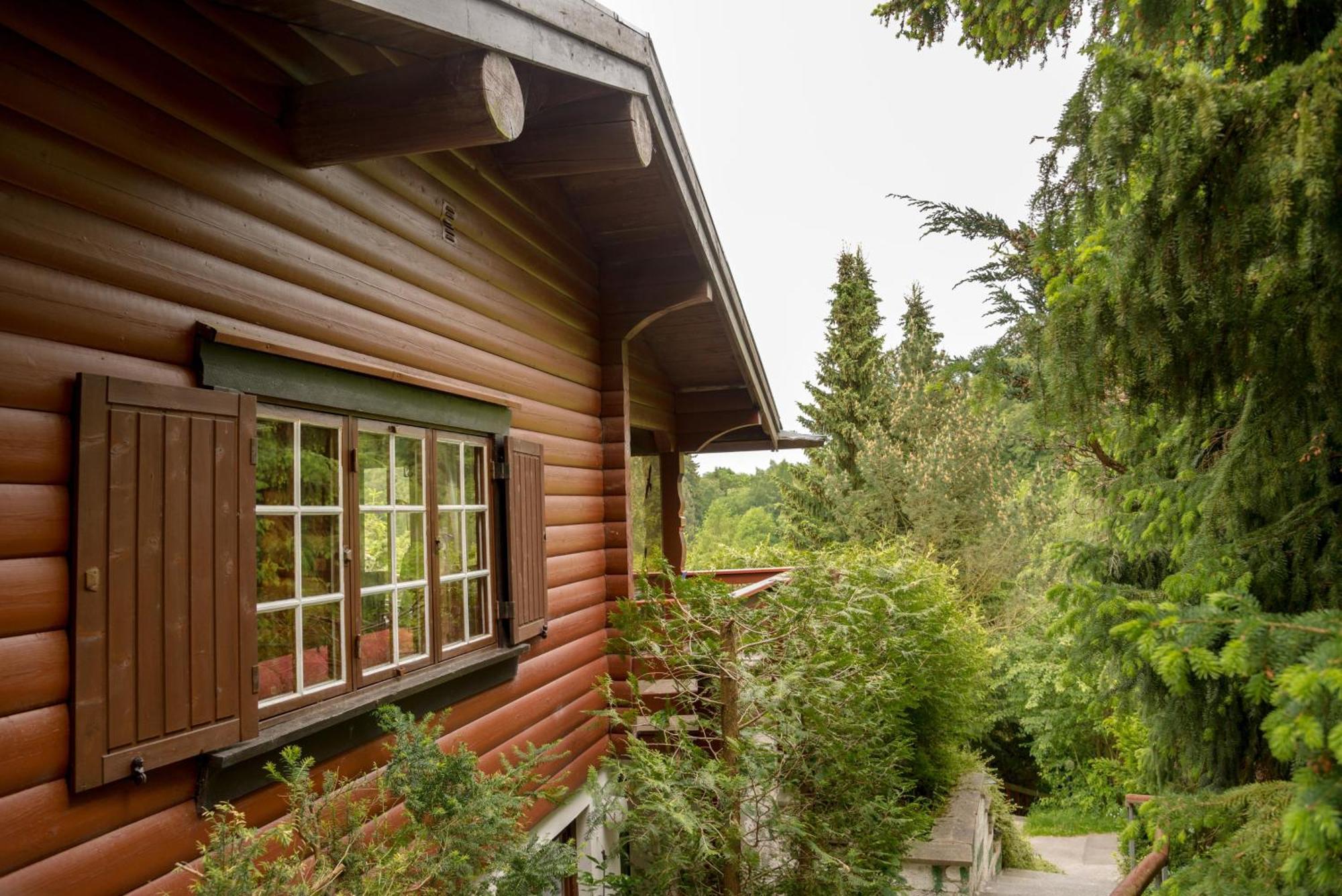 Gluehalm Willingen Villa Willingen  Exterior photo