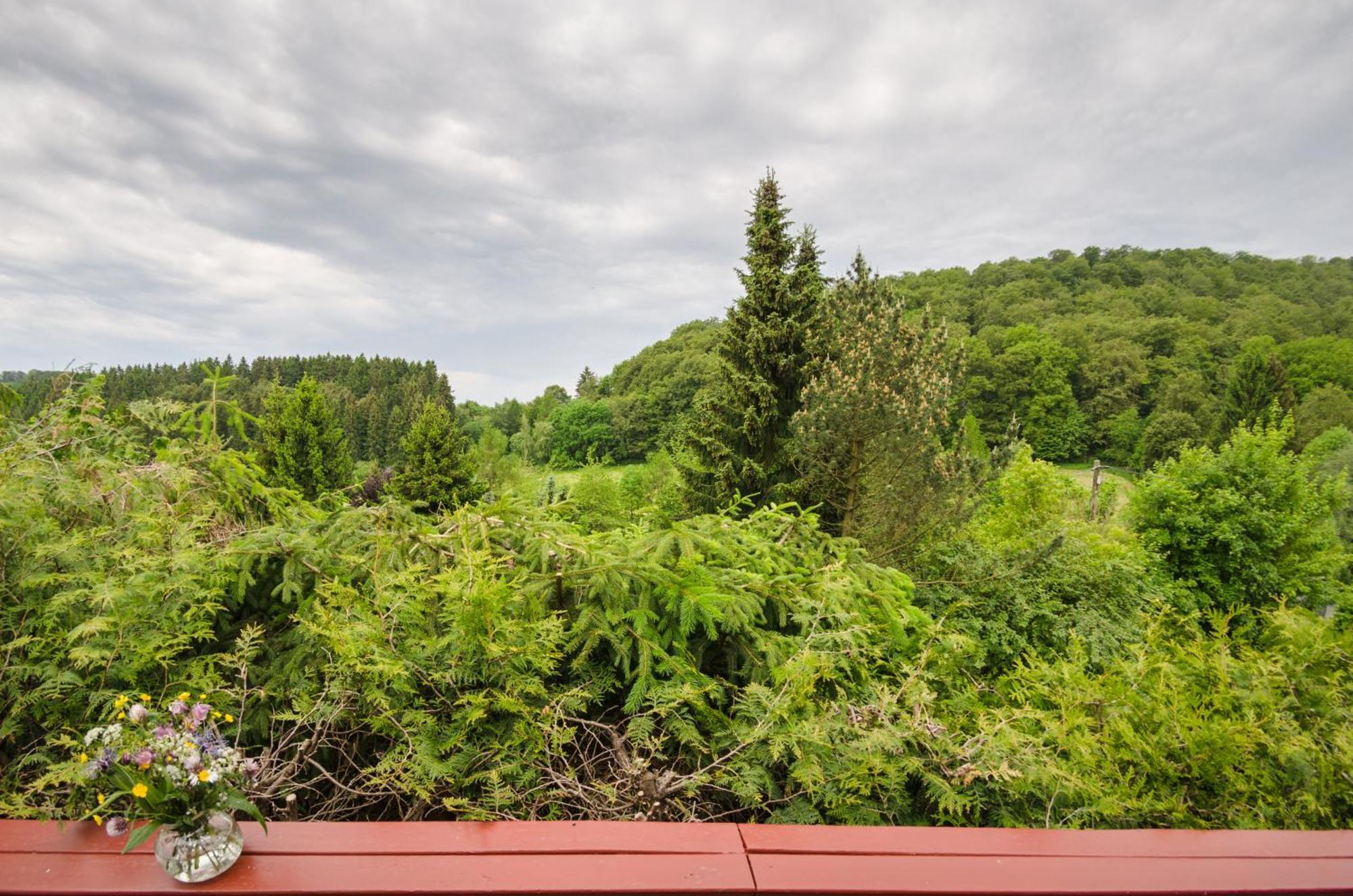 Gluehalm Willingen Villa Willingen  Exterior photo